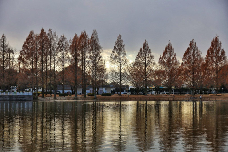 0320自然と一体化した川越水上公園